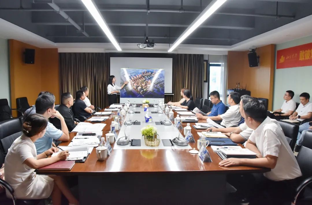 天心区委副书记、、、区长周志军调研德赢VWIN长沙总部基地项目(图5)