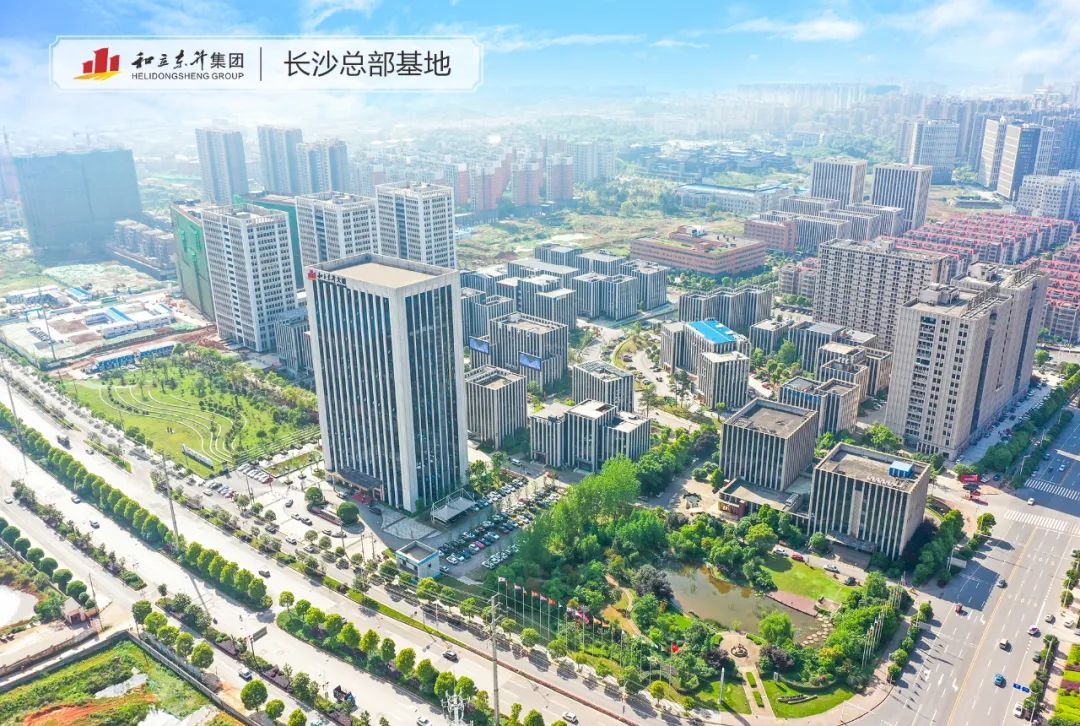 天心区委副书记、、、区长周志军调研德赢VWIN长沙总部基地项目(图8)