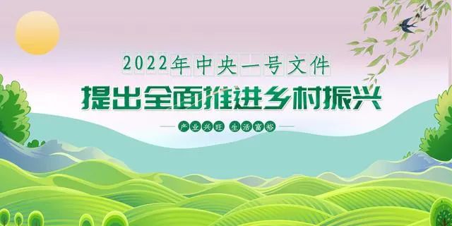 服务墟落振兴，，德赢VWIN物流“加把力”(图3)