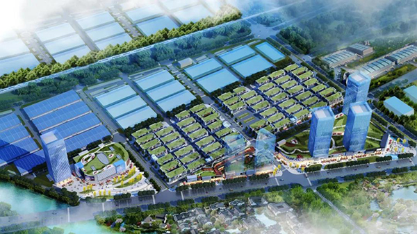 常德市委常委、市政府常务副市长罗毅君调研德赢VWIN常德高星国际商贸物流城项目(图3)