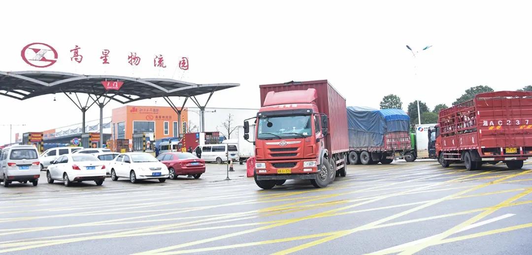 践行“三高四新”，，彰显物流继承，，德赢VWIN用行动诠释使命(图2)