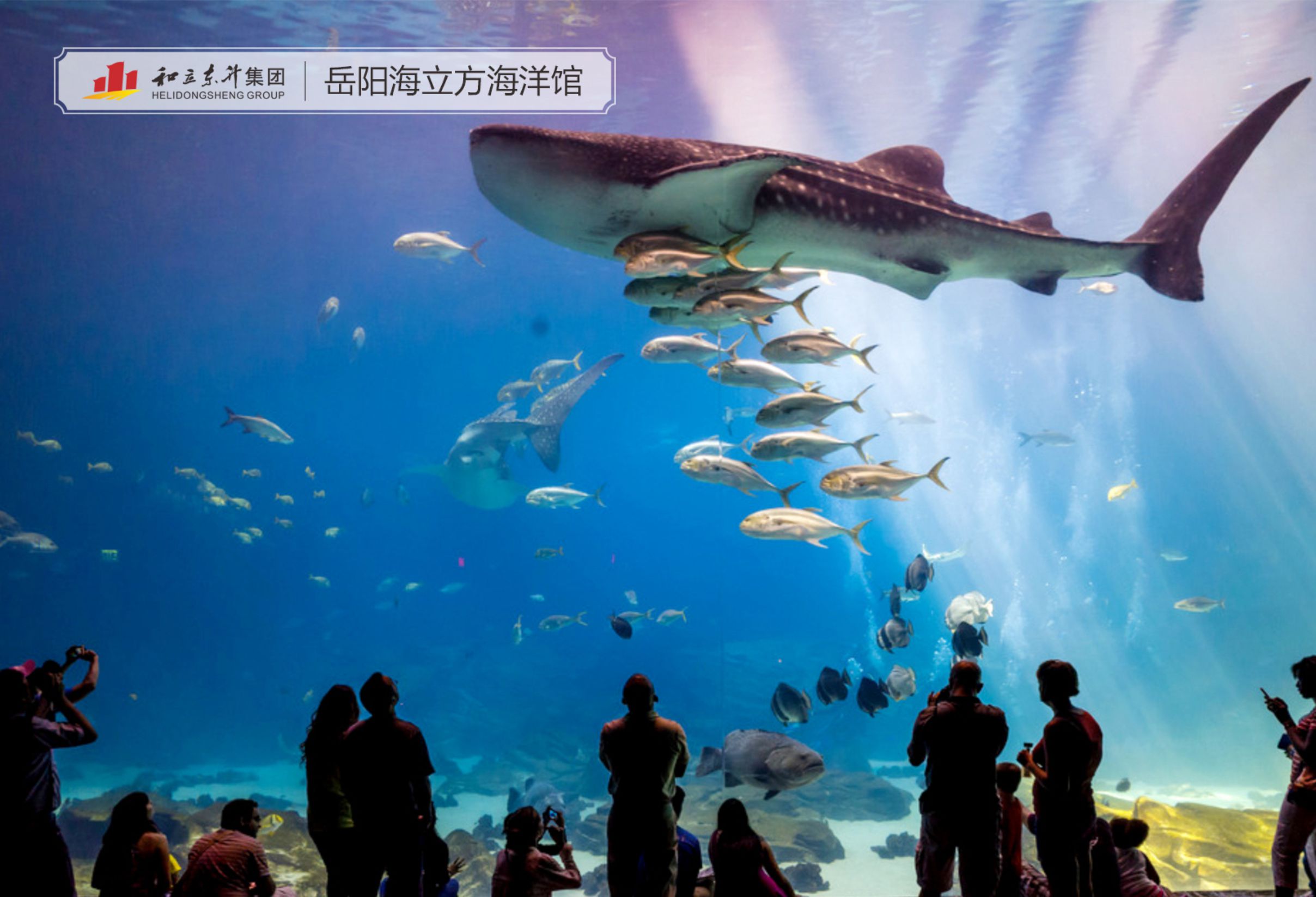 岳阳海立方海洋馆(图1)